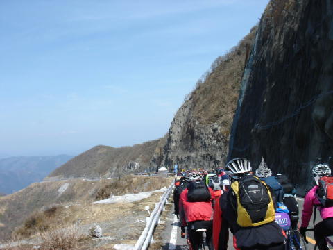 �ɐ��R�ł̃��|�h���|�X